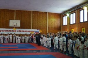 18 января 2020 года состоялся XI открытый региональный турнир по каратэ в г.п.Талинка